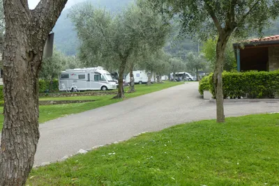 Camping Claudia - Blick auf die Stellplätze im Grünen