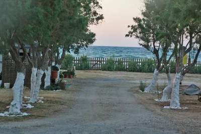 Creta Camping -  mit Blick auf das Meer