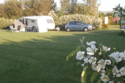 Daler Camping