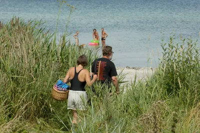 Dalgård Camping - Bild 2