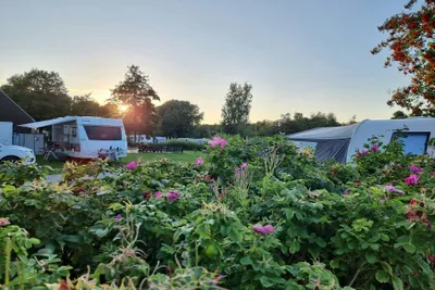 First Camp Ajstrup Strand - Aarhus - Bild 3