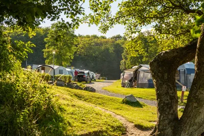 Dcu-camping Aarhus - Blommehaven - Bild 2