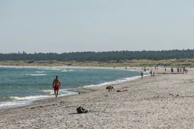 Dcu-camping Rørvig Strand - Bild 2