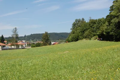 Camping In de Bongerd - Siblu Ferienpark  Camping De Bongerd - Aussicht auf die grüne Wiese