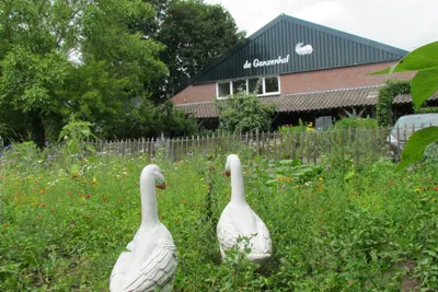 Camping De Ganzenhof