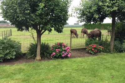 Camping De Kijfakker