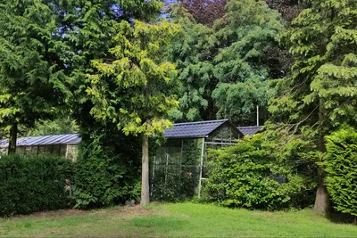 Camping De Kluis - Gewächshäuser auf dem Campingplatz