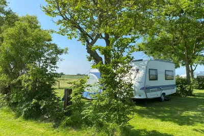 Camping De Knockaerthof - Standplätze zwischen den Bäumen auf dem Campingplatz