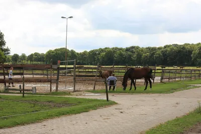Camping De Kommer