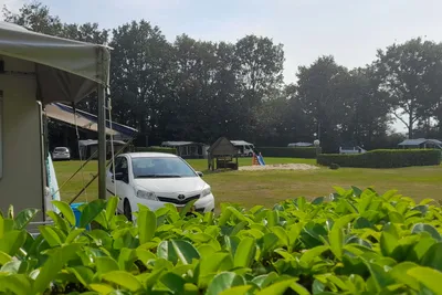 Camping De Vechtkamp - Standplätze auf dem Campingplatz