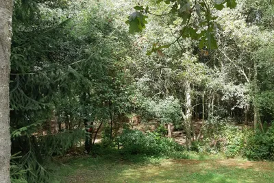 Camping De Veentjes