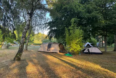 Zelte auf einem Campingplatz zwischen Bäumen, mit Grasfläche und Wegen im Hintergrund.