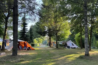 Campingzelte im Wald: orangefarbenes und weißes Zelt auf einer Wiese zwischen hohen Bäumen und Hecken.