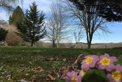 Domaine Les Filloux - Stellplätze auf dem Campingplatz