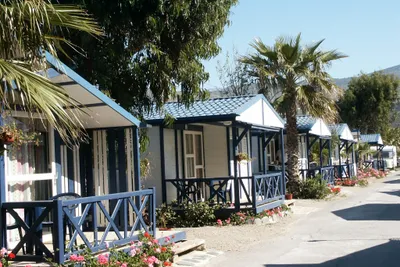Camping Don Cactus