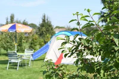 Dorpscamping Gemert