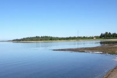 Dragstrup Camping - Blick auf das Wasser