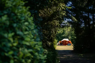 Camping Drentsheerlijk  - Zeltwiese