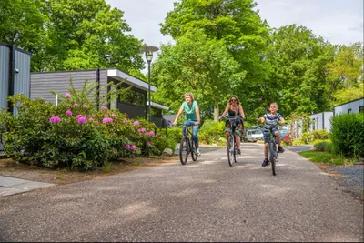 Europarcs Maasduinen - Bild 2