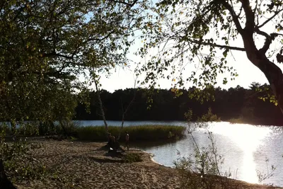 Dürings Campingplatz Am Tonsee Bild 2