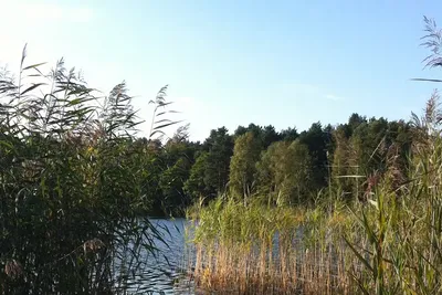 Dürings Campingplatz Am Tonsee Bild 4