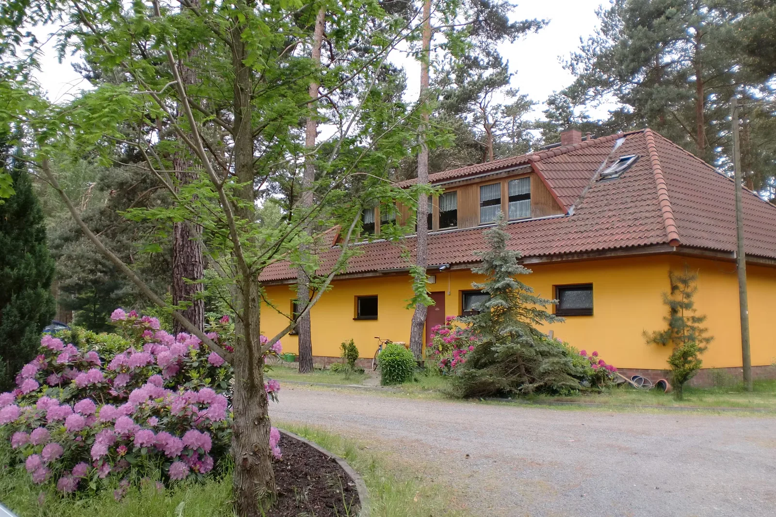 Dürings Campingplatz Am Tonsee