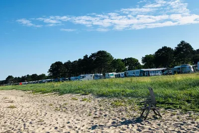Ebeltoft Strand Camping  - Blick vom Strand auf den Stellplatz vom Campingplatz im Grünen