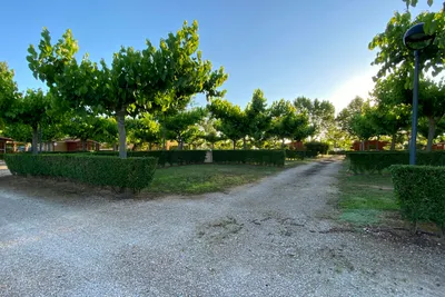 Camping Els Ports - Standplätze im Grünen auf dem Campingplatz