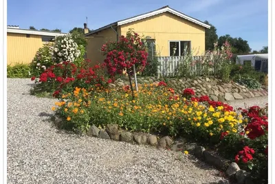 Elsegårde Camping - Garten mit Rosen auf dem Campingplatz