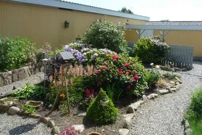 Elsegårde Camping - Garten mit verschiedenen Blumen auf dem Campingplatz