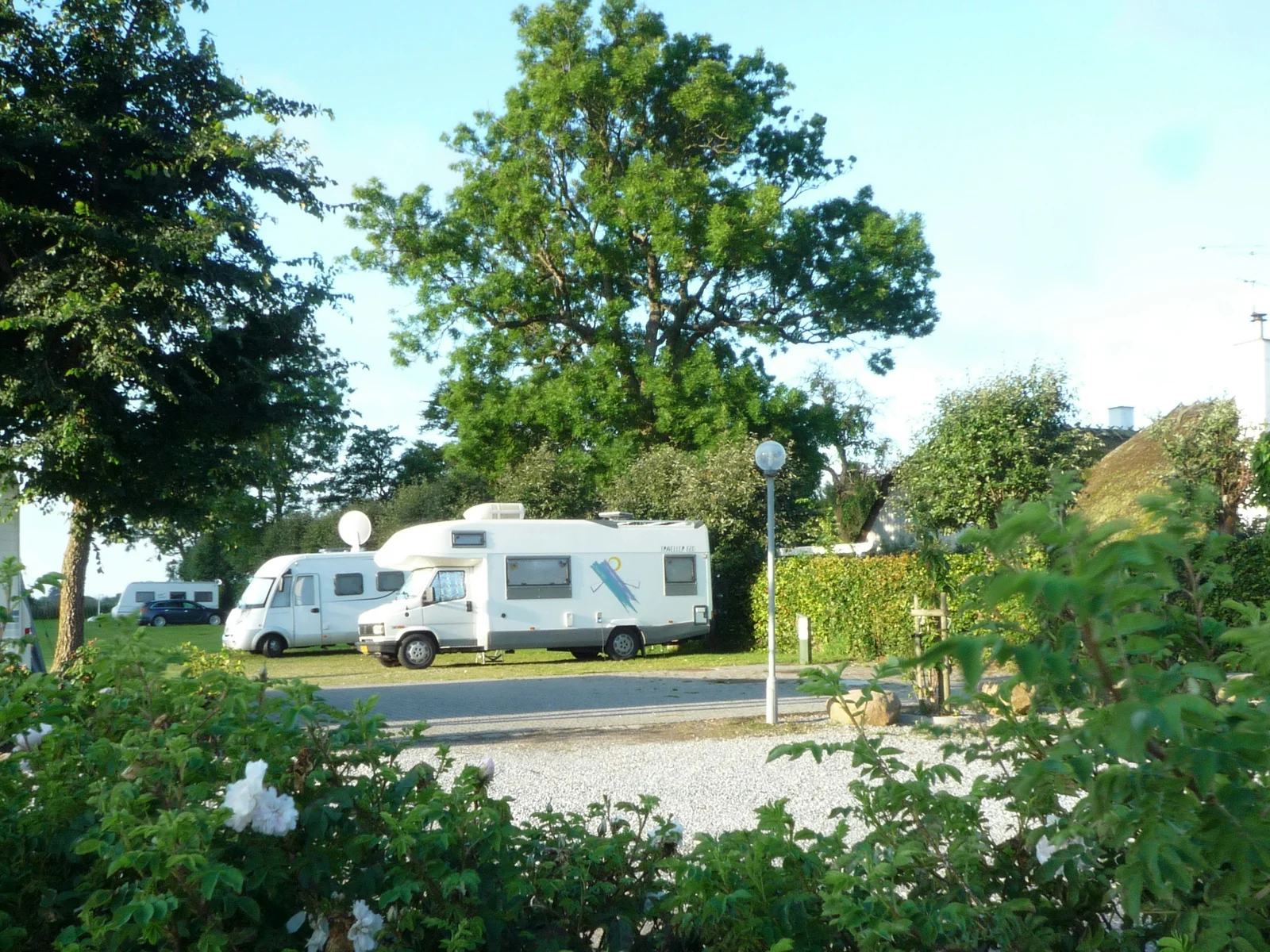 Elsegårde Camping