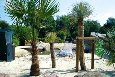 Erholungspark Wehlingsheide  -  Liegestühle vom Campingplatz in der Sonne