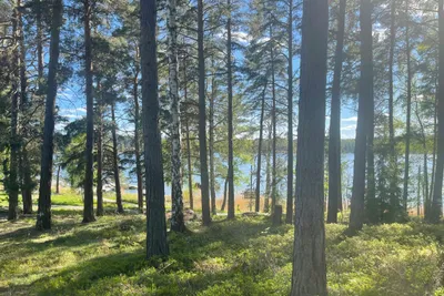 Waxholms Camping - Bild 2