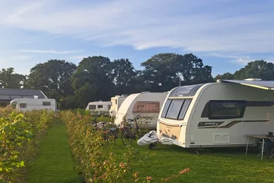 Esch Camping Kaampert - Standplätze auf dem Campingplatz