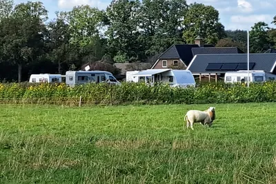 Esch Camping Kaampert - Standplätze im Grünen auf dem Campingplatz