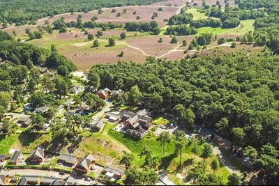 Europarcs Brunssummerheide