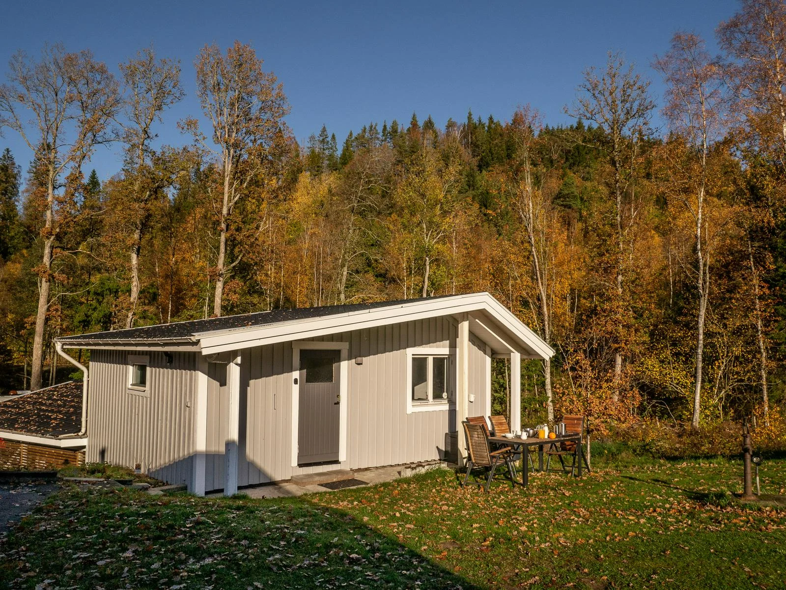 Évika 2