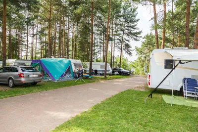 Familienpark Senftenberger See - Stellplätze im Schatten unter Bäumen auf dem Campingplatz