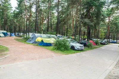 Familienpark Senftenberger See -  Zeltplätze umringt von Wald