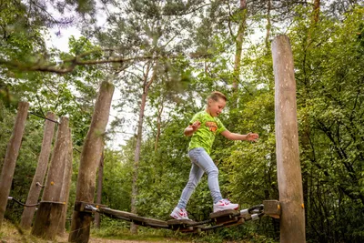Familievakantiepark Krieghuusbelten - Bild 3