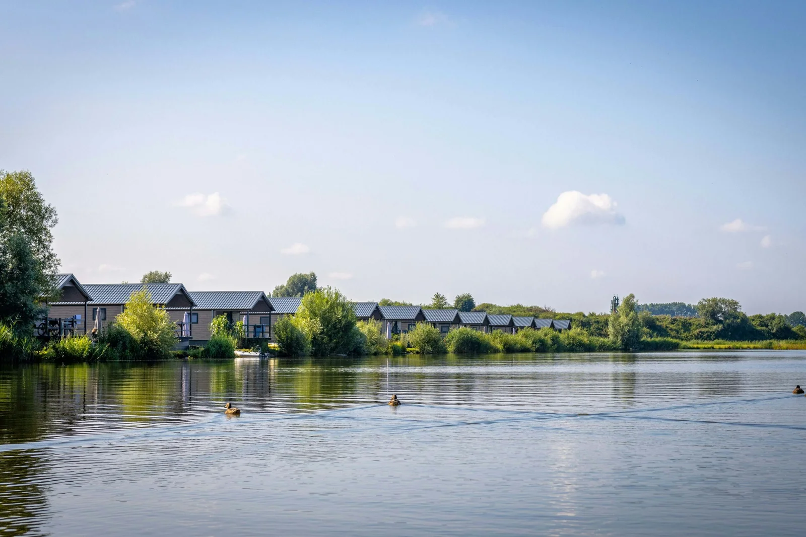 Familievakantiepark Krieghuusbelten