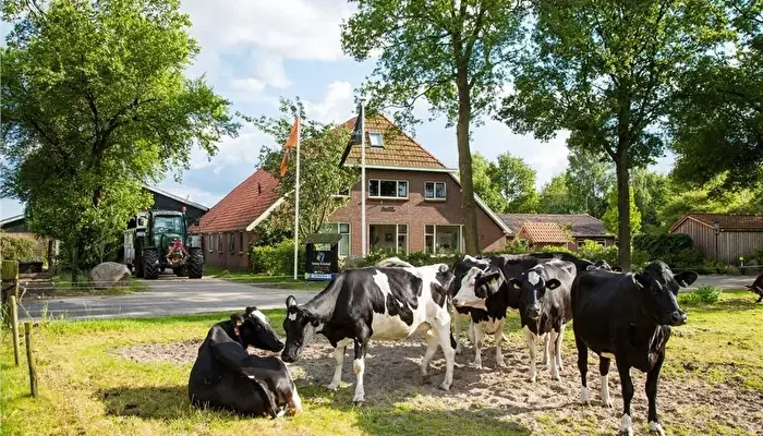 FarmCamps De Bosrand