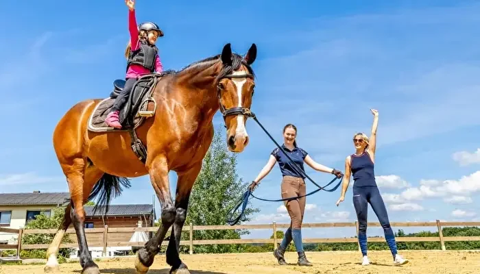 FarmCamps Soodehof Eins