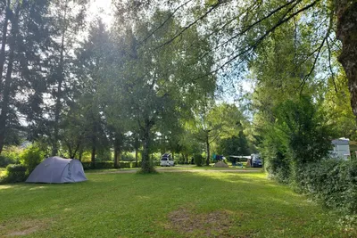 Camping Ferien am Walde - Blick auf die Standplätze auf der Wiese