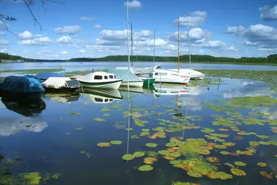 Ferienidyll Rätzsee – Camping bei Motte Bild 4