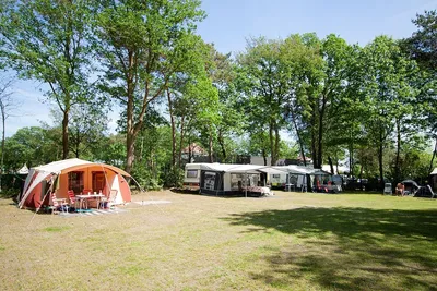 Vakantiepark Breebronne - Bild 3