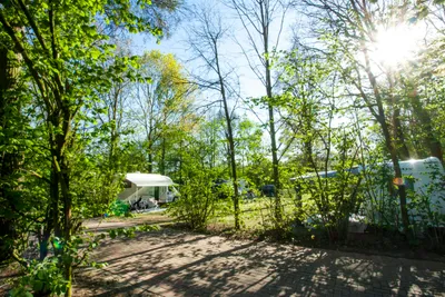 Vakantiepark Breebronne - Bild 4