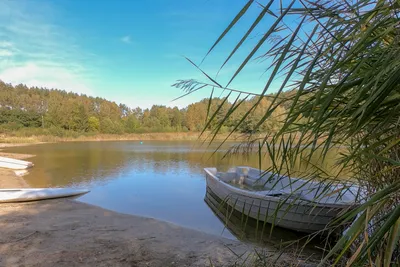 Ferienpark Heidesee - Boot am See.jpeg