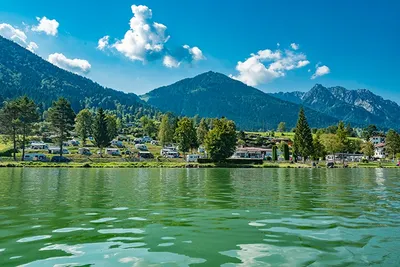Ferienpark Terrassencamping Süd-See - Stellplätze im Schatten unter Bäumen am See auf dem Campingplatz