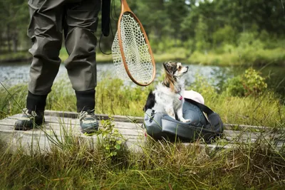Nordic Camping Hökensås  - Angler mit Hund am See vom Campingplatz